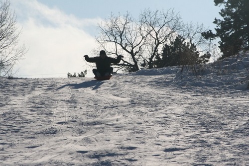 soysauced's profile picture. 