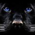 Bay City ISD Athletics (@bcisd_athletics) Twitter profile photo Bay City ISD Athletics (@bcisd_athletics) Twitter profile photo