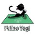 Feline Yogi (@FelineYogi) Twitter profile photo