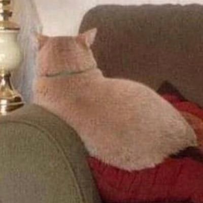 Shae70403709's profile picture. 