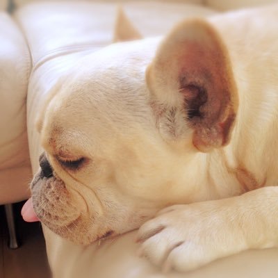 sumi653105971's profile picture. 息子のお弁当作りも終わり寂しい感じもしていますが、楽‼️という気持ちの方が大きいです🤣楽しかった場所、美味しかった物などツイートしていきます😃フォローして頂けたら嬉しいです😊 福祉の仕事をしています‼️