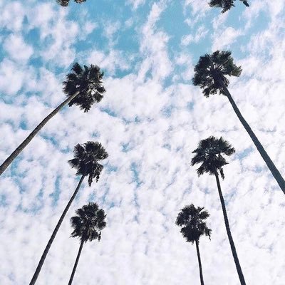 9lldb's profile picture. 