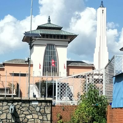 Tqf816ewglvb1VT's profile picture. 