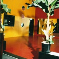 Thestudioschool's profile picture. 