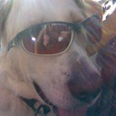 Marce Smith - @marcepilismith - Twitter