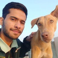Arpit Shrimankar (@arpitshrimankar) 's Twitter Profile