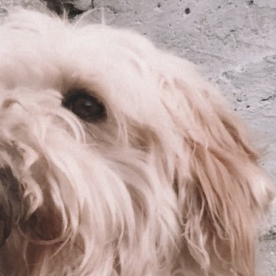 Cristia95600469's profile picture. Ccac 🧟‍♂️🧛🏻‍♂️