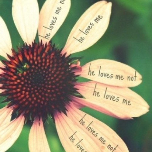 i_love_quotez's profile picture. Tweet Random Dopee Shit .(: Follow Back Just Ask . Follow Me On Tumblr fuckingglove.tumblr ....Fuck Itt Eat Nutella (;