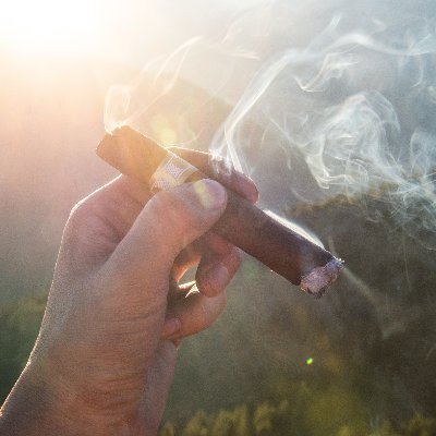 Cigar and Travel Expert Lover https://t.co/0FL02NHbiz