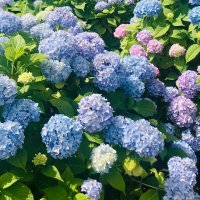 Mary Elizabeth (@themare_) 's Twitter Profile