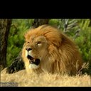 Ali alkhamis - @bokarrar - Twitter