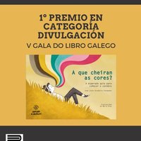 Casto (@castoriva) 's Twitter Profile