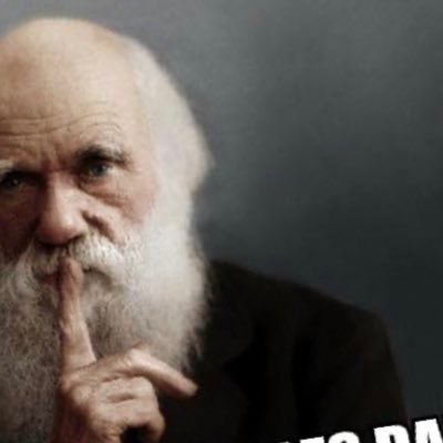 K_ribensis's profile picture. 