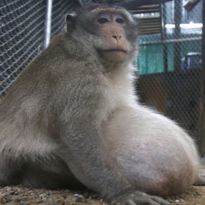 nadawei234's profile picture. i fucking hate cliché’s