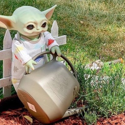 Mishfishhh's profile picture. amateur insult comedian  she/her
simp for everybody