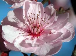 327dauta_WashDC's profile picture. 