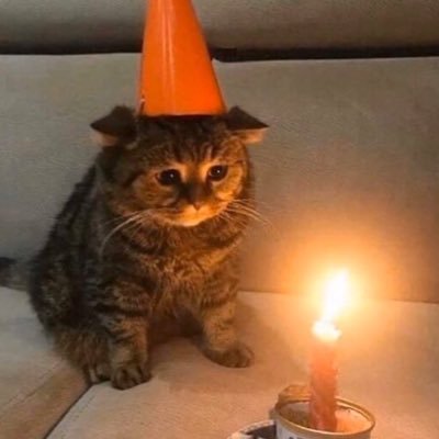 guncemdocx's profile picture. 