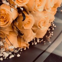 DOODY.AL🤍 (@doody25a) 's Twitter Profile