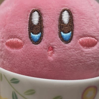 🌶🥂✨💕🐙🌟🍱🦖🥷🔫🦉🎻📄取引/成人済みの社会人/本人周辺B済み/※お取引の際は固ツイからツリーを必読
