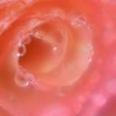 Lori & Stacy - @2divorcedchicks - Twitter