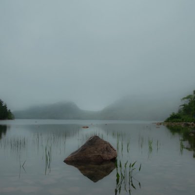 GrandPoobahBear's profile picture. Quitting so soon? And on such an easy level.