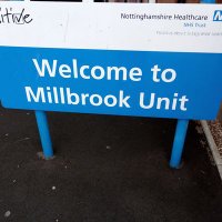 Blossomwood🐝🦋 (@mhumillbrook) 's Twitter Profile