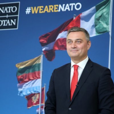 Ambassador, Head of the Mission of Georgia to NATO