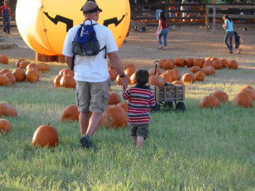 kylepekurney Profile