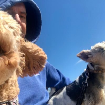 OLearyDonal's profile picture. 