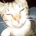 Heather Haro - @BarbarellaFlash - Twitter