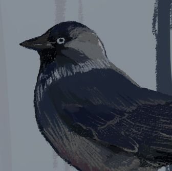 Ёrkさんのプロフィール画像