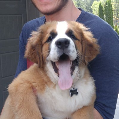 troygiorshev's profile picture. Bitcoin Core Contributor || Chaincode Labs Intern || Aspiring Applied Philosopher