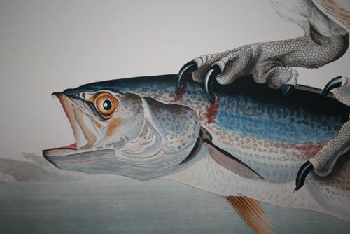 RDHThree's profile picture. 