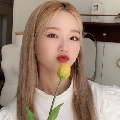 gwonloops's profile picture. backup for @gowonsloops.