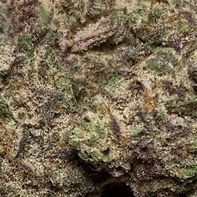 BillSussman15's profile picture. Technician 4th Grade Irwin Wade William Sussman III. Rangers- 2nd Battalion, Charlie Company.