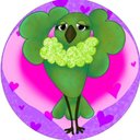 DollyBird - @DollyBirdBOL - Twitter