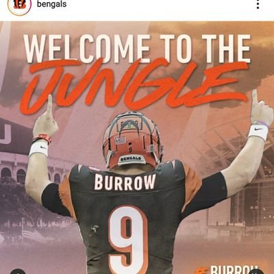 TJB62814's profile picture. I'm a diehard sports junkie, I love my Bengals,  My Reds, My Blues and My Milwaukee Bucks. I am very much open to debate but know that its all love.