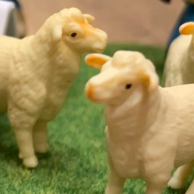 🍴🦪さんのプロフィール画像