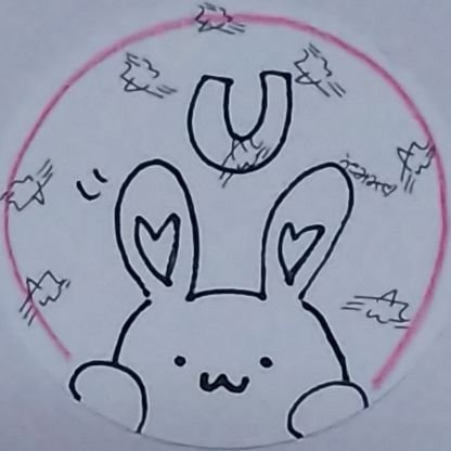 うさぎ好き🐰理想のうさぎを目指してうさんぽ中！