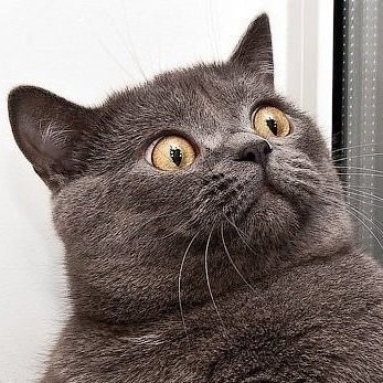 AndriyLavrys's profile picture. Спостерігаю. Екстраполюю. Більше читаю, інколи пишу.

Підтримую не прізвища, а принципи.