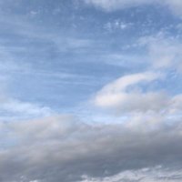 あかね (@abc147def25) Twitter profile photo