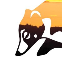 Sky Island Alliance (@sky_islands) 's Twitter Profile Photo Sky Island Alliance (@sky_islands) 's Twitter Profile Photo