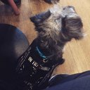 Isabel Rice - @IsabelR48033163 - Twitter