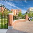BMC Minority Physicians Profile