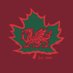 Strathcona Druids Rugby (@druidsrfc) Twitter profile photo