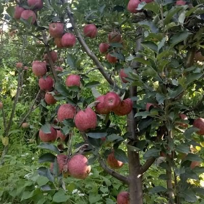 Vinesh97992827's profile picture. 