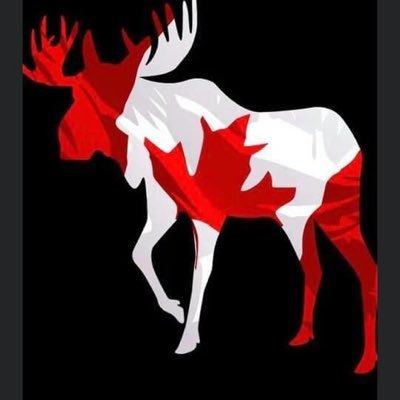 The_Stuff_ZidQ's profile picture. Hello everyone , you can now follow me on these following sites.    YouTube -The QT-TravellingMan. As well on my facebook group list The-QT-Travellingman.