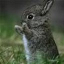 Colton Chambers - @GleePlus3STMars - Twitter