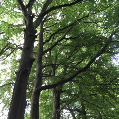 corimm19's profile picture. 