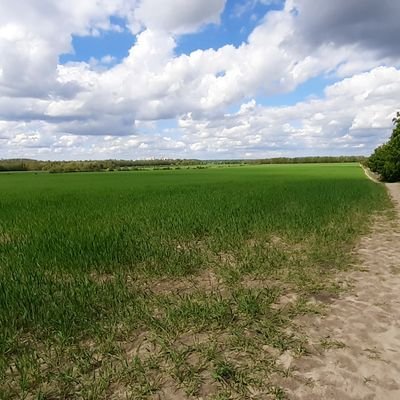 fabdega's profile picture. Gamer